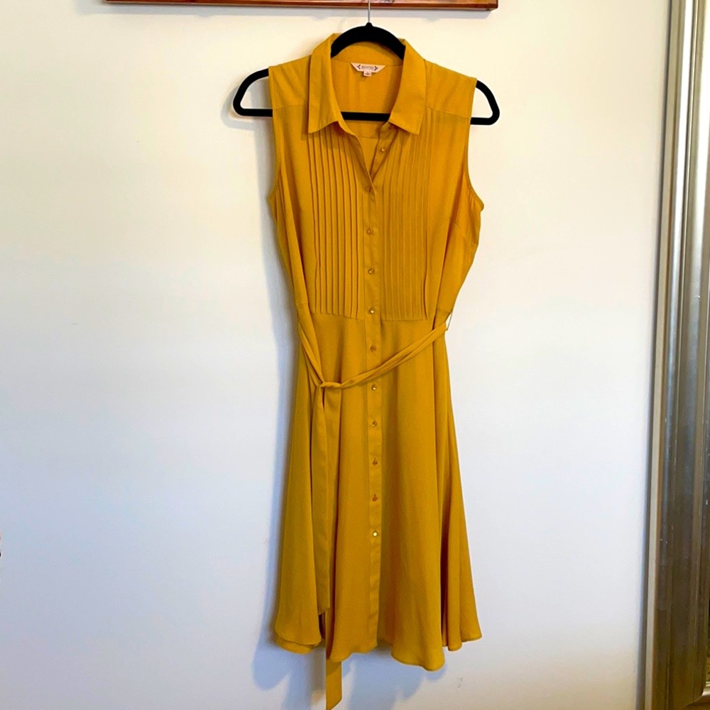 Nanette button down dress
